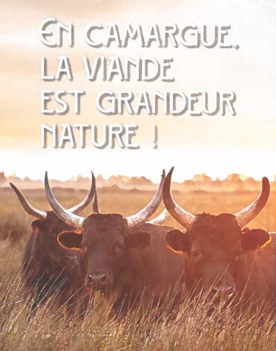 viande-cam viande-cam