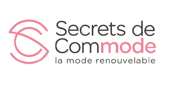 secretdecommode02