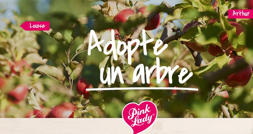 adopte-pink-lady