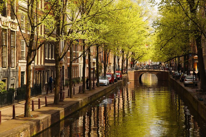 20183714 – amsterdam with green canal in the downtown, holland