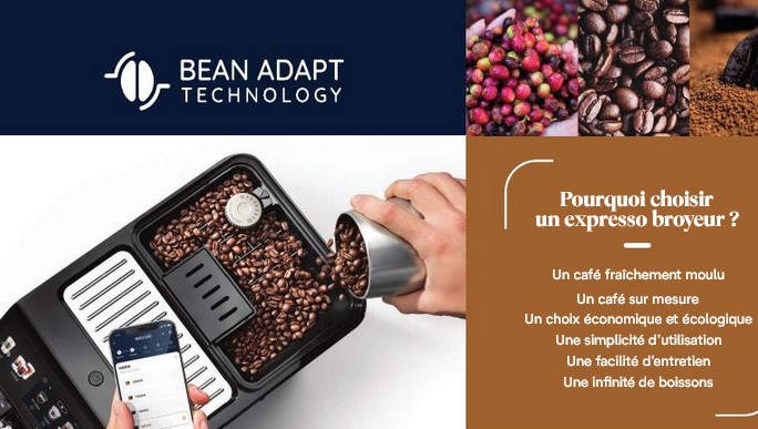 bean-adapt