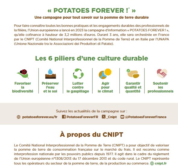 cnipt cnipt