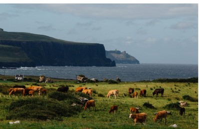 irland2 irland2