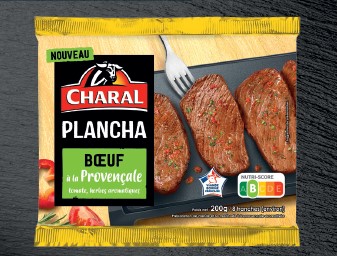 plancha- plancha-