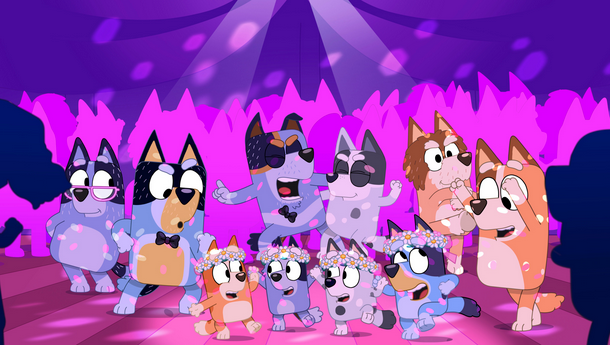 bluey4 bluey4