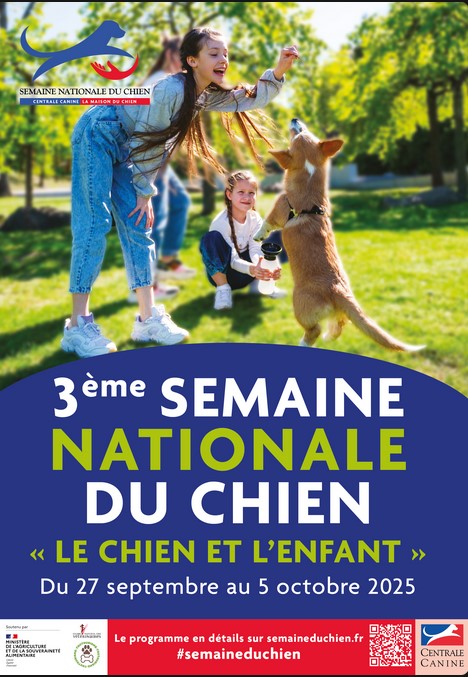 chien