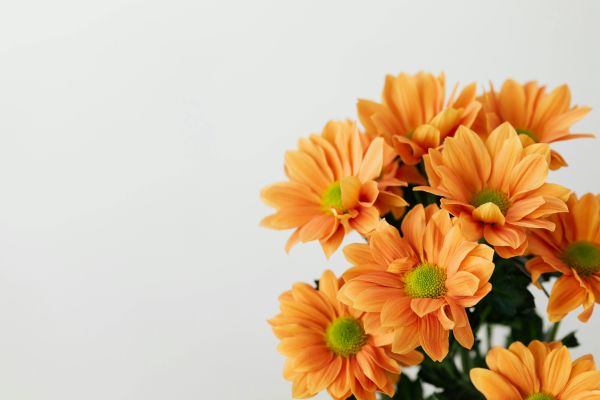 img-article-cadeau-diy01