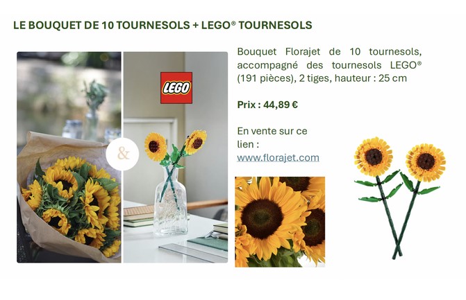 tournesol tournesol