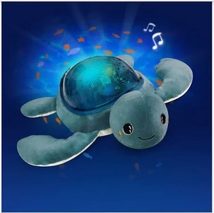 tortue