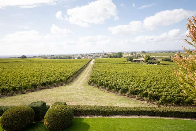 vue-saint-emilion-depuis-troplong-mondot-et-vignoble-troplong-mondot