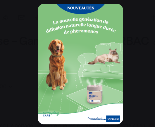 dogune dogune