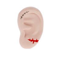 ear